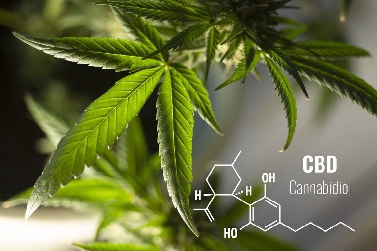 Why Should You Consider Buying Full-Spectrum CBD Online?