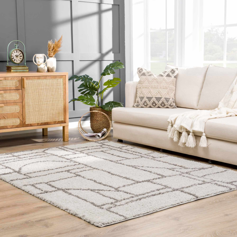 Explore 4 x 10 Rugs Collection Online in USA