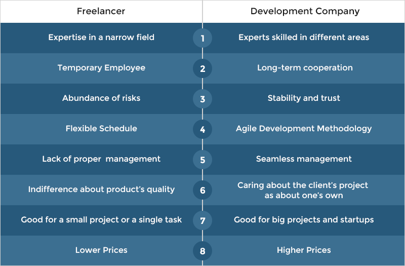 Freelance Developers or Software Development Agencies