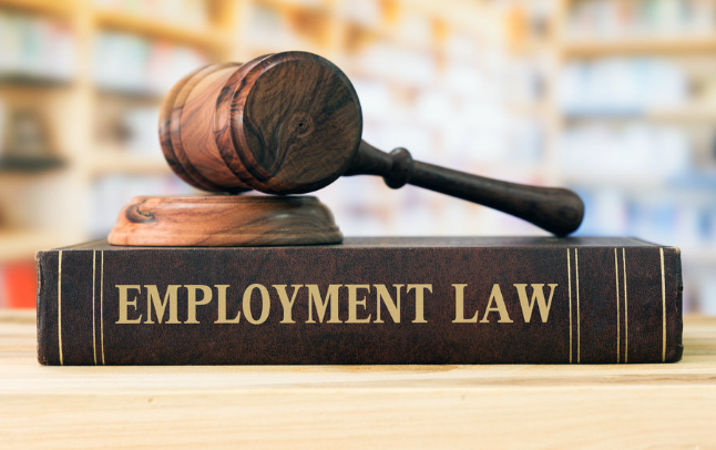 The Effect Of Employment Law On The Gig Economy