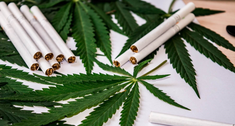 What Are Hemp Cigarettes: Everything You Need To Know About Hemp Cigarettes