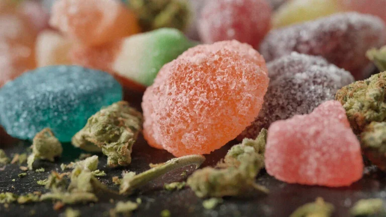 Edibles that you need to try today
