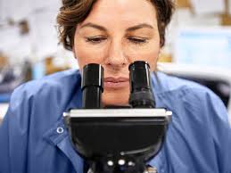What Scientists Look for in Breast Biopsy Material?